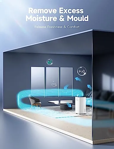 12L/Day Dehumidifier with Digital Humidity Display Control