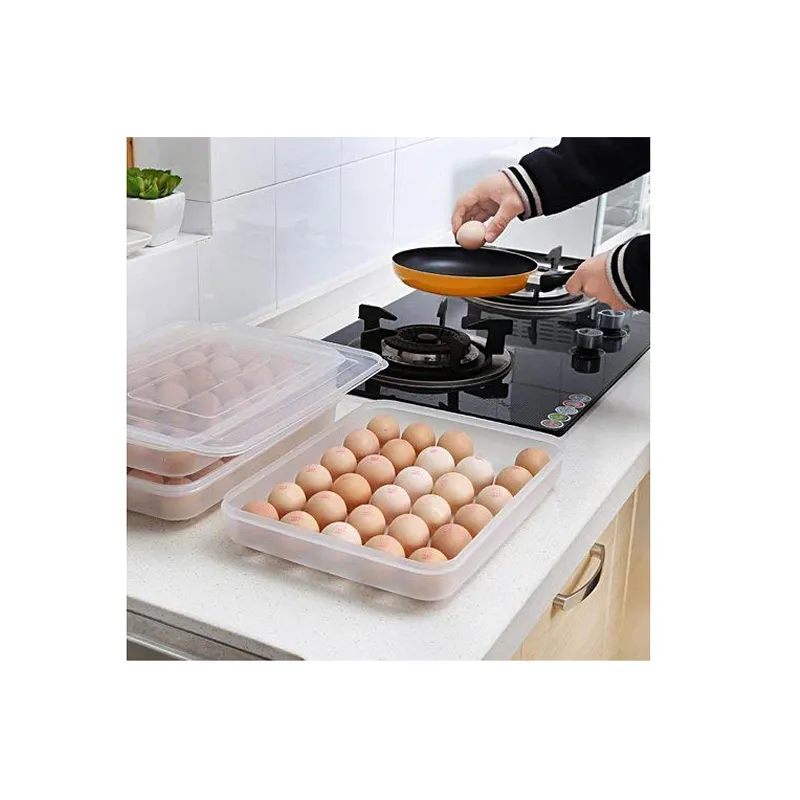 24-Grids Plastic Egg Storage Container Box